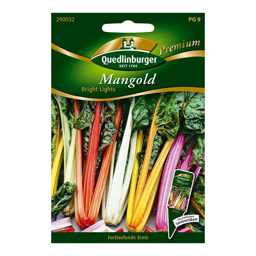 Mangold "Bright Lights"