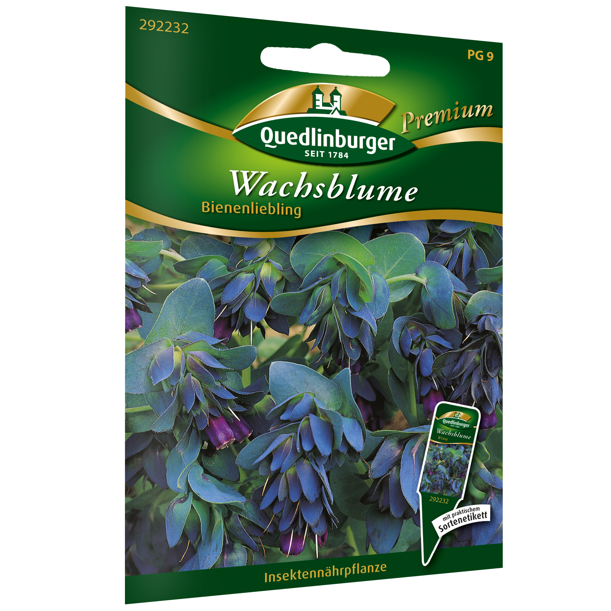 Wachsblume 'Bienenliebling' + product picture