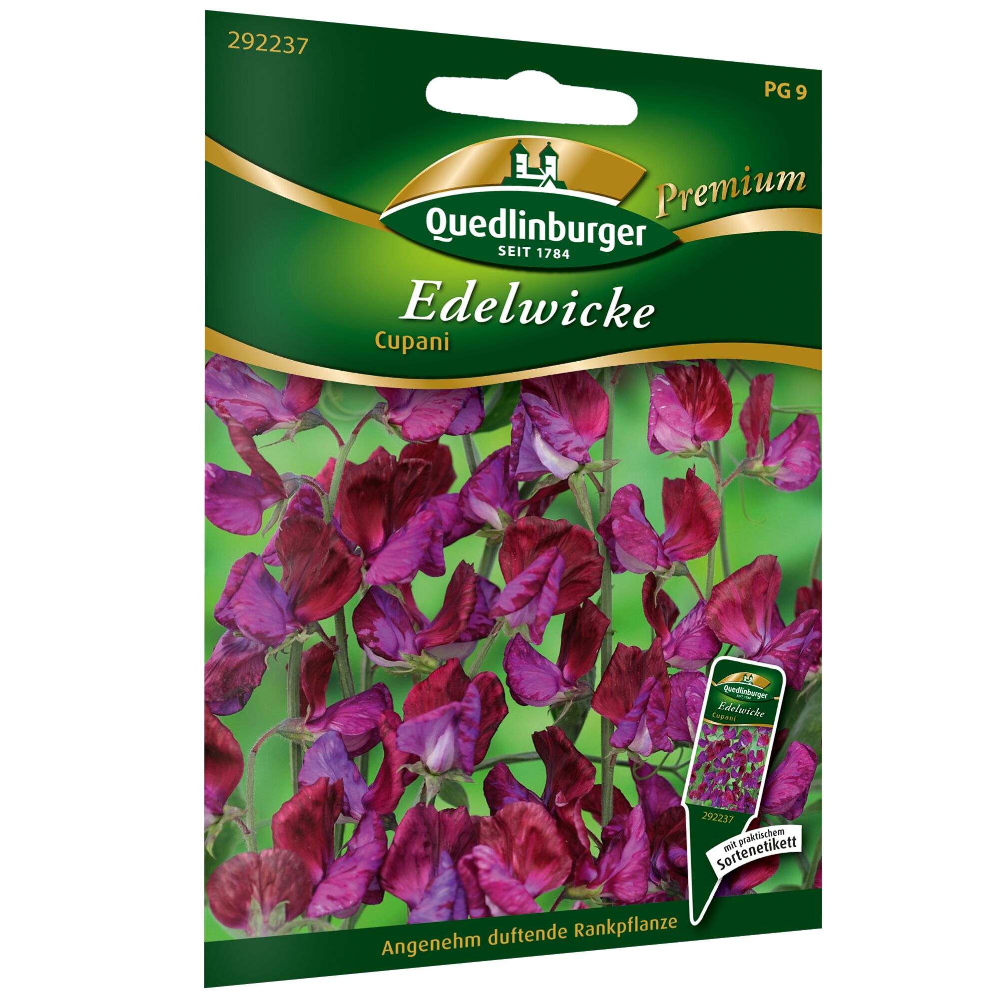 Samen der Edelwicke Cupani von Quedlinburger