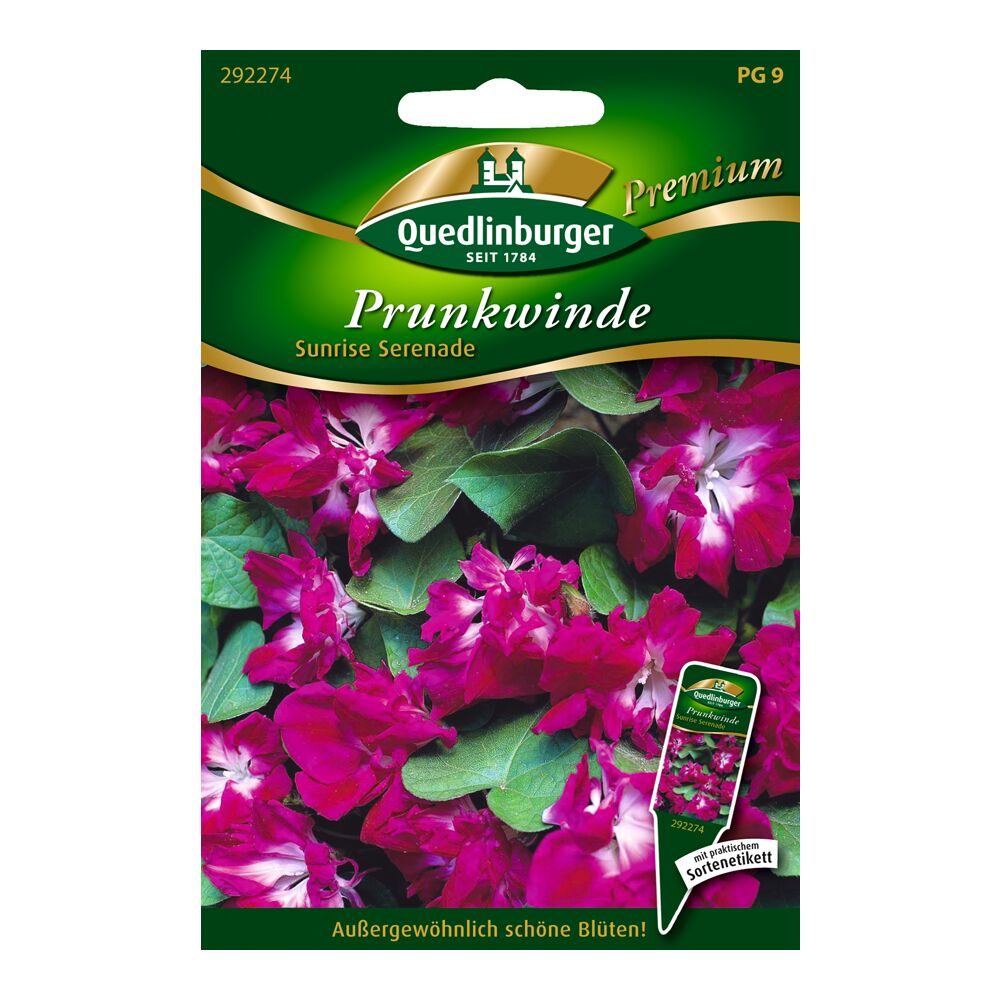 Samen der Prunkwinde Sunrise Serenade