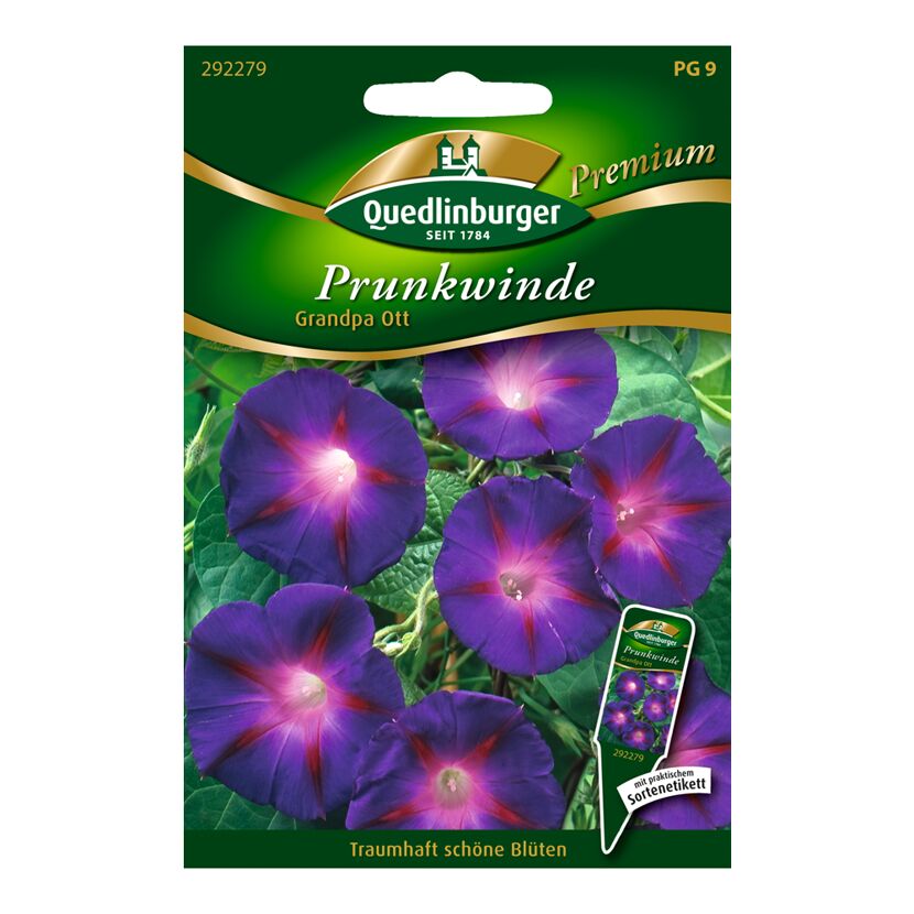 Prunkwinde "Grandpa Ott" 50 Stück