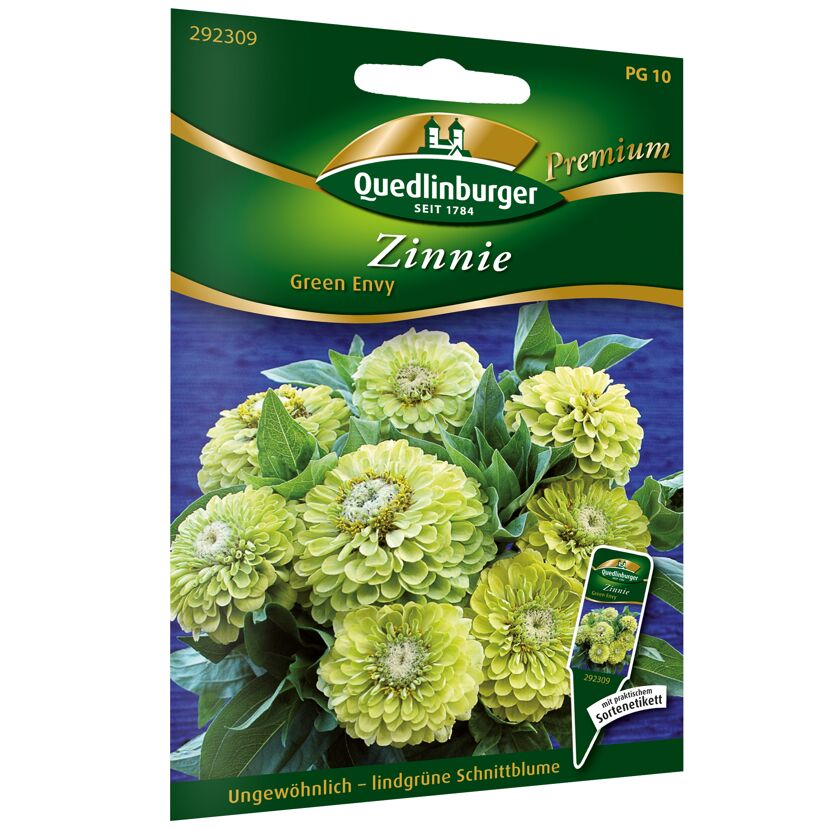 Samen der Zinnie Green Envy von Quedlinburger
