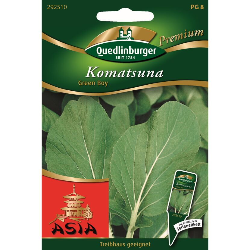 Komatsuna 'Green Boy'