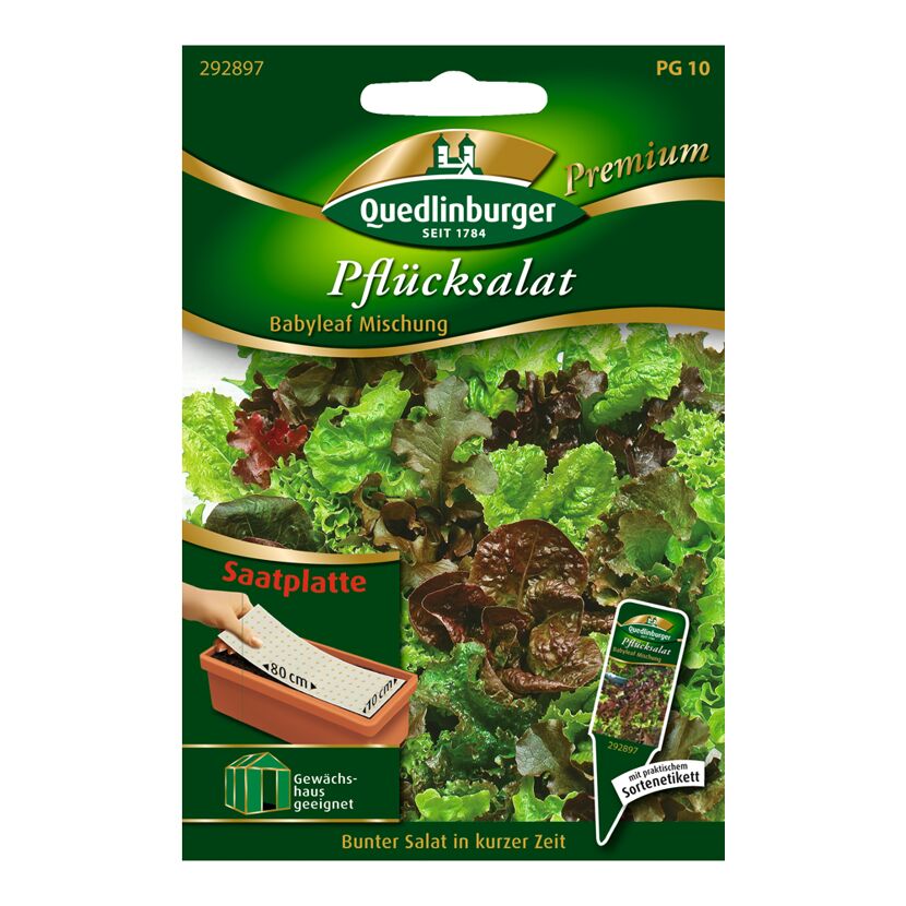 Pflücksalatmischung "Babyleaf" Saatplatte