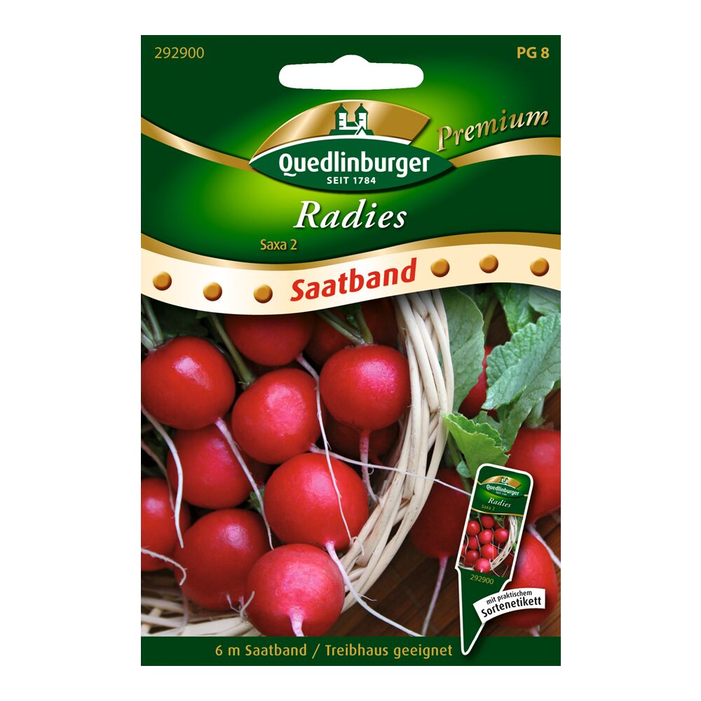 Quedlinburger Radies Saxa 2 Saatband