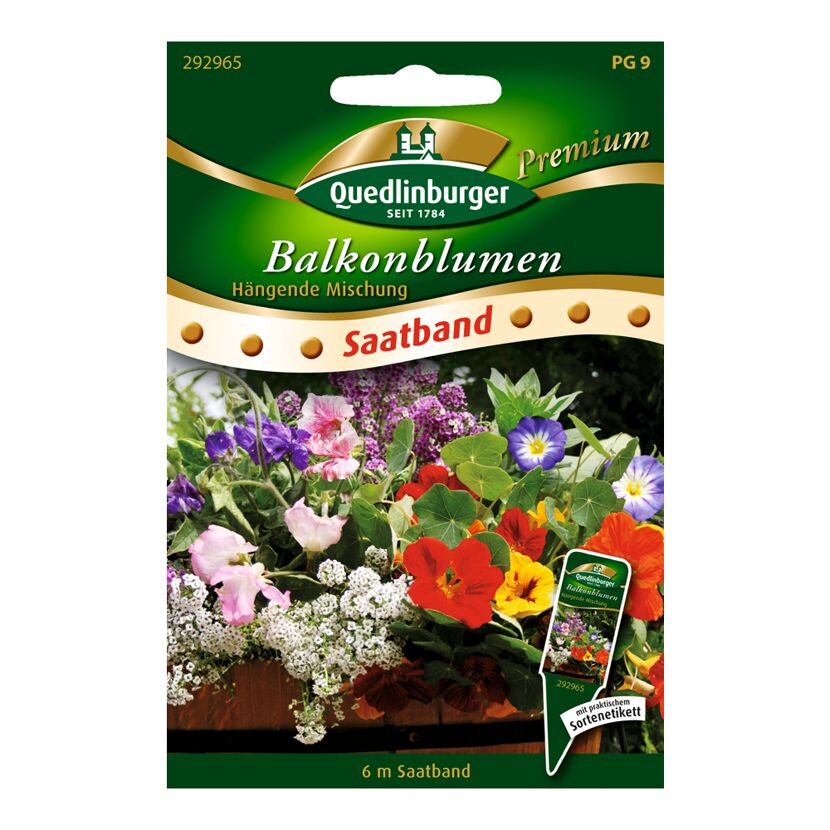 Balkonblumen "Hängende Mischung"