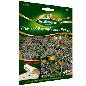 Blumenmischung 'Feld- und Wiesenmischung' Saatteppich