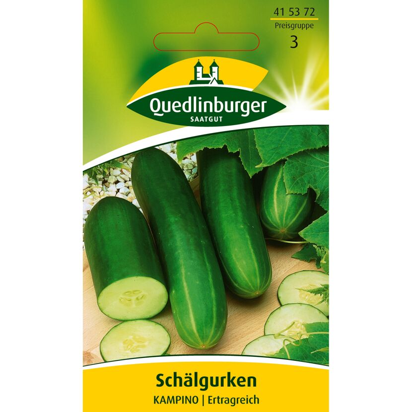 Schälgurken Kampino Saatgut