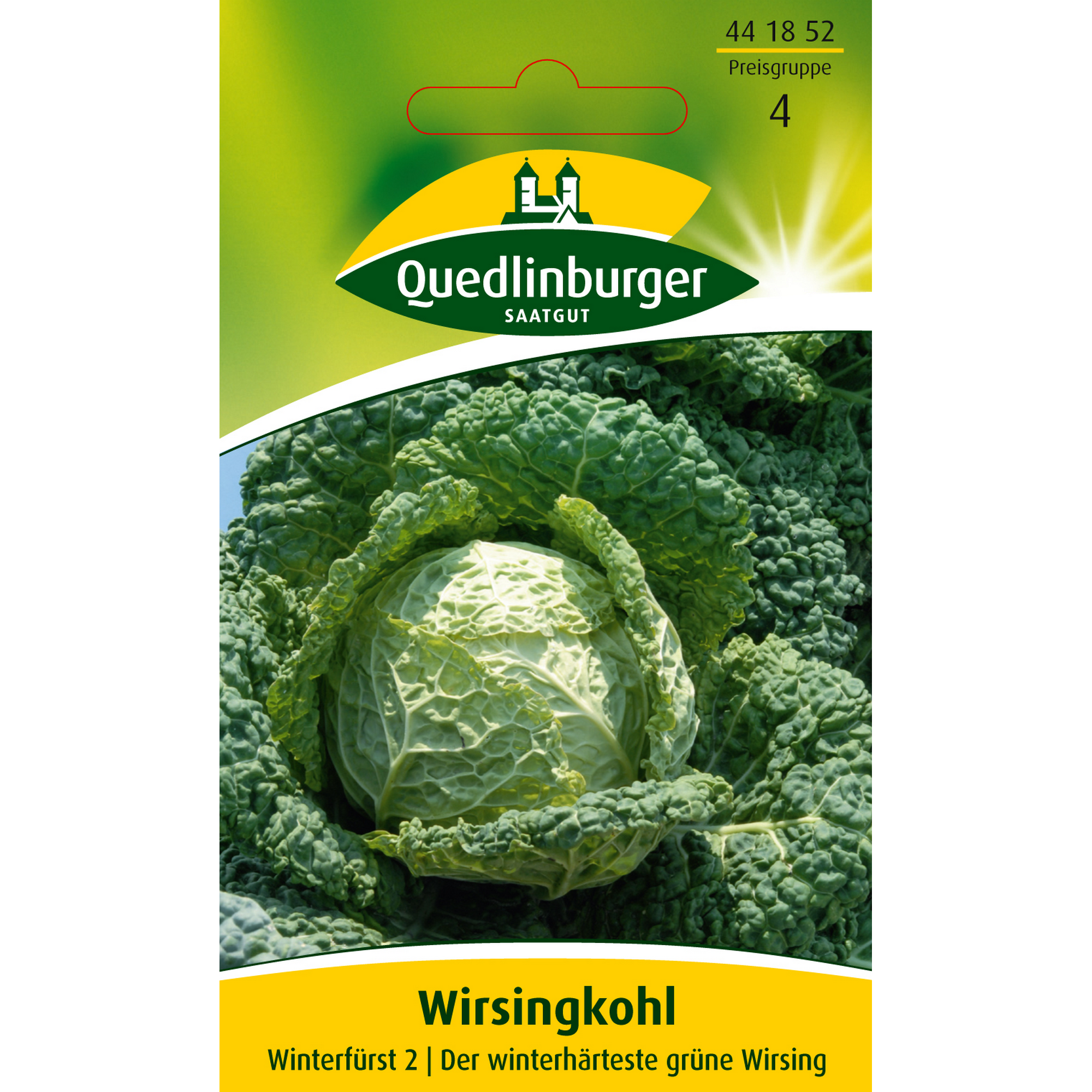 Wirsing 'Winterfürst 2 ' + product picture