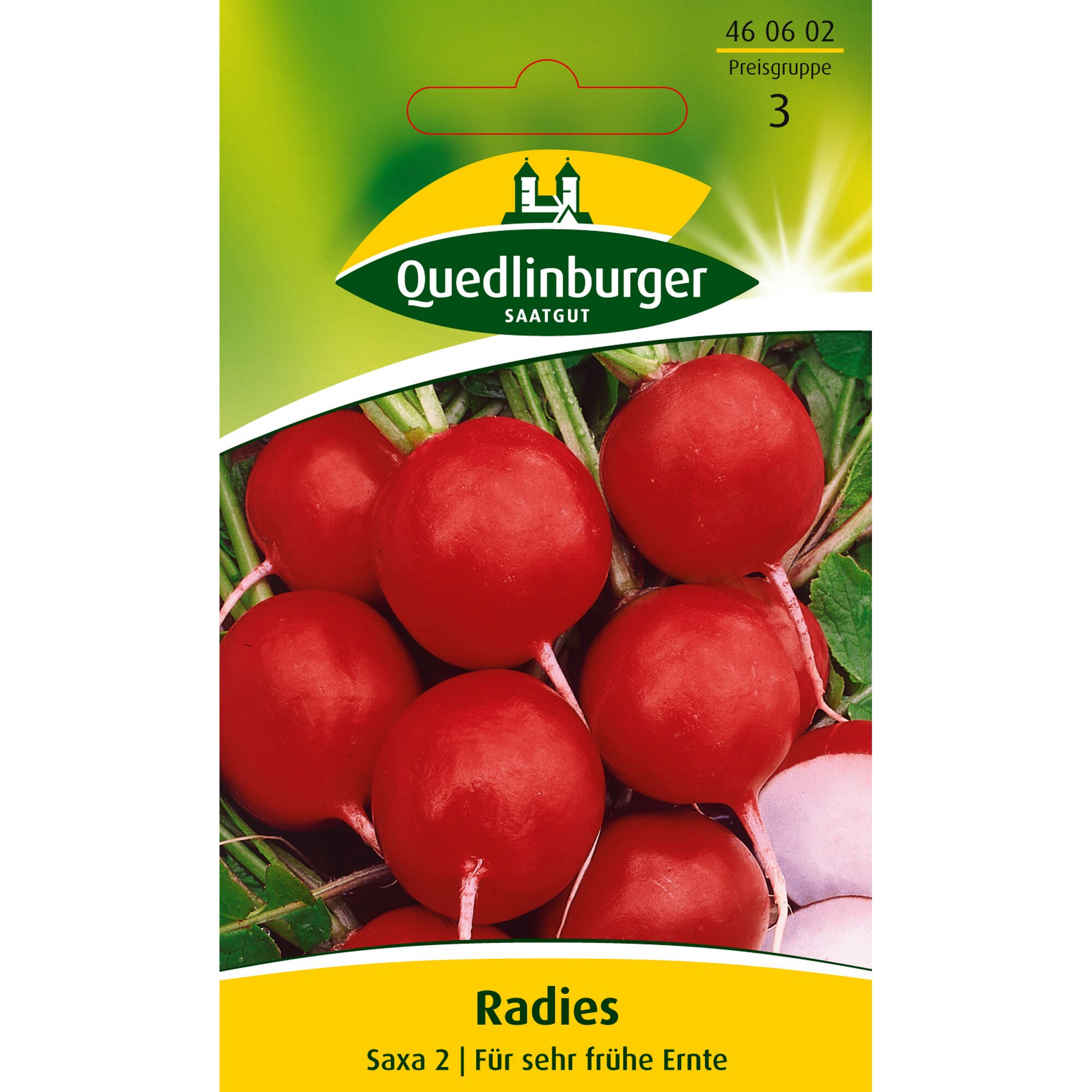 Radies Saxa 2 für sehr frühe Ernte