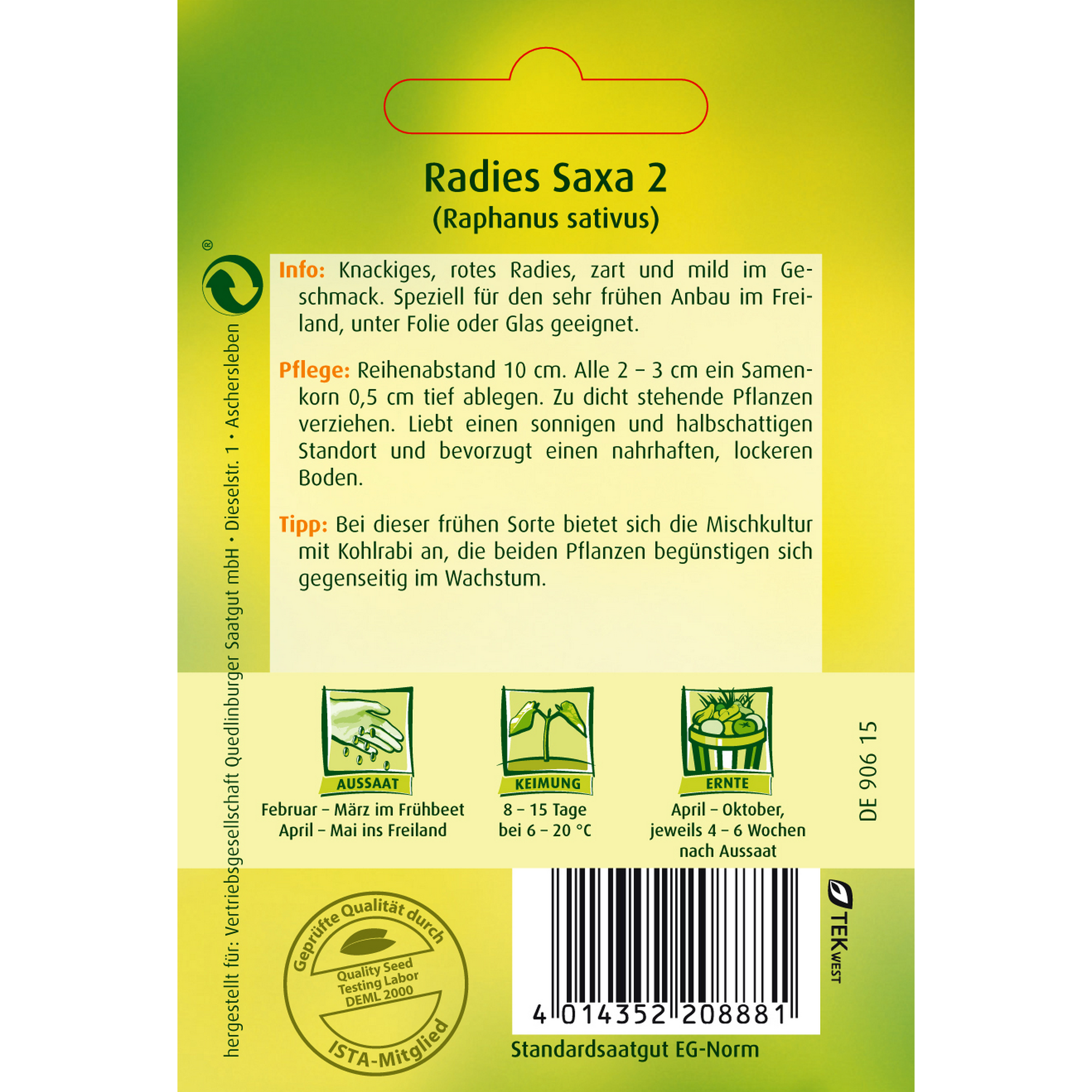 Radies 'Saxa 2' + product picture