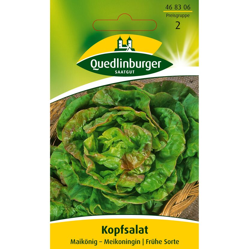 Kopfsalat Maikönig auf Jute