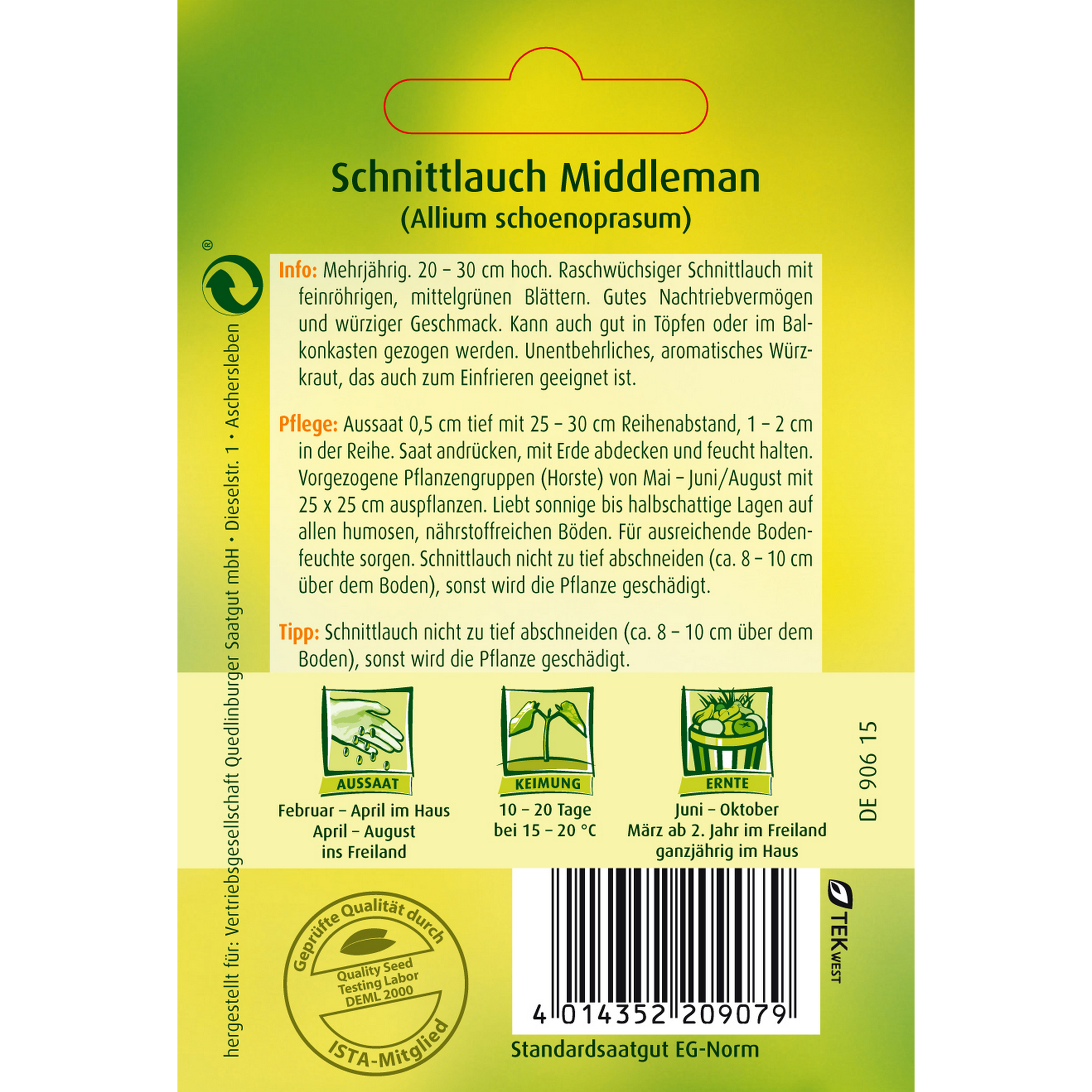 Schnittlauch 'Middleman' + product picture