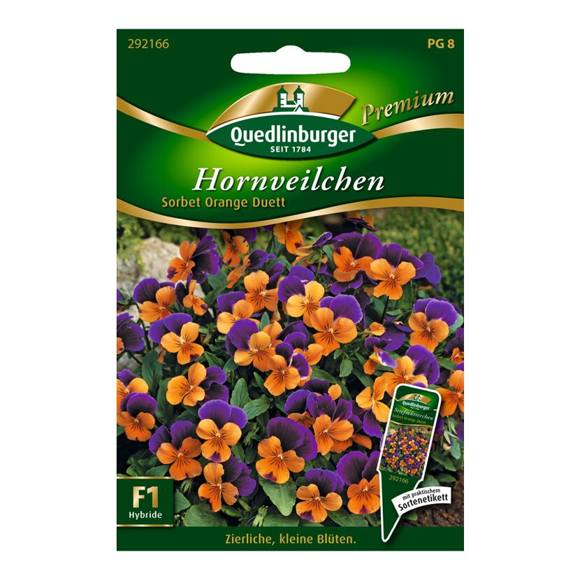 Hornveilchen Sorbet Orange Duett