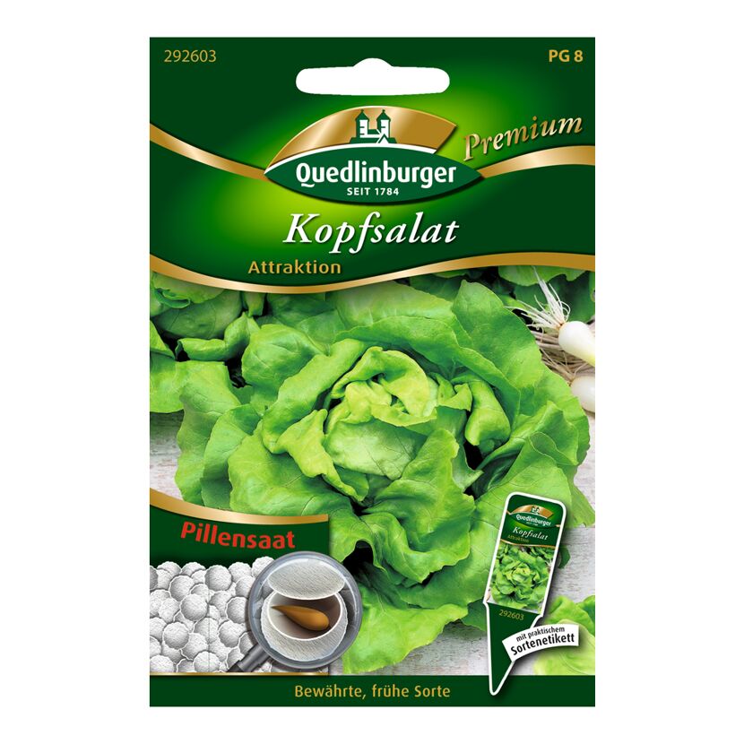 Kopfsalat "Attraktion" Pillensaat