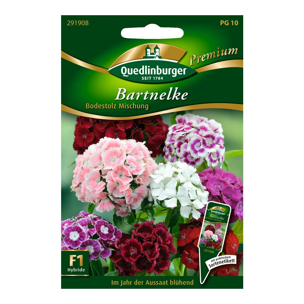 Buntes Bild von Bartnelkenblüten auf einer Samentüte.