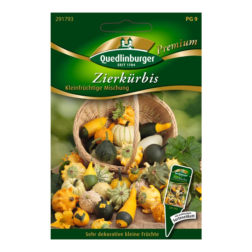 Samen Zierkürbis kleinfrüchtige Mischung im Korb