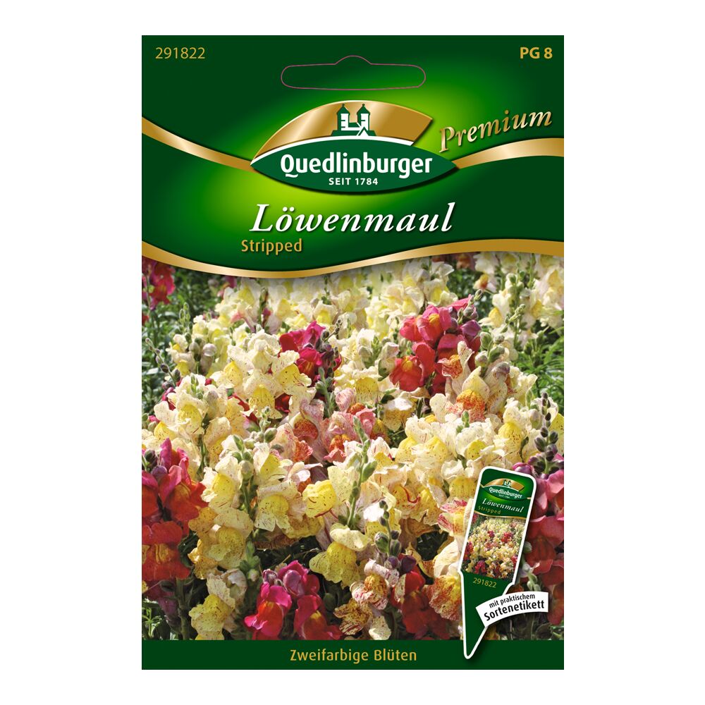 Löwenmaul 'Stripped' Samen