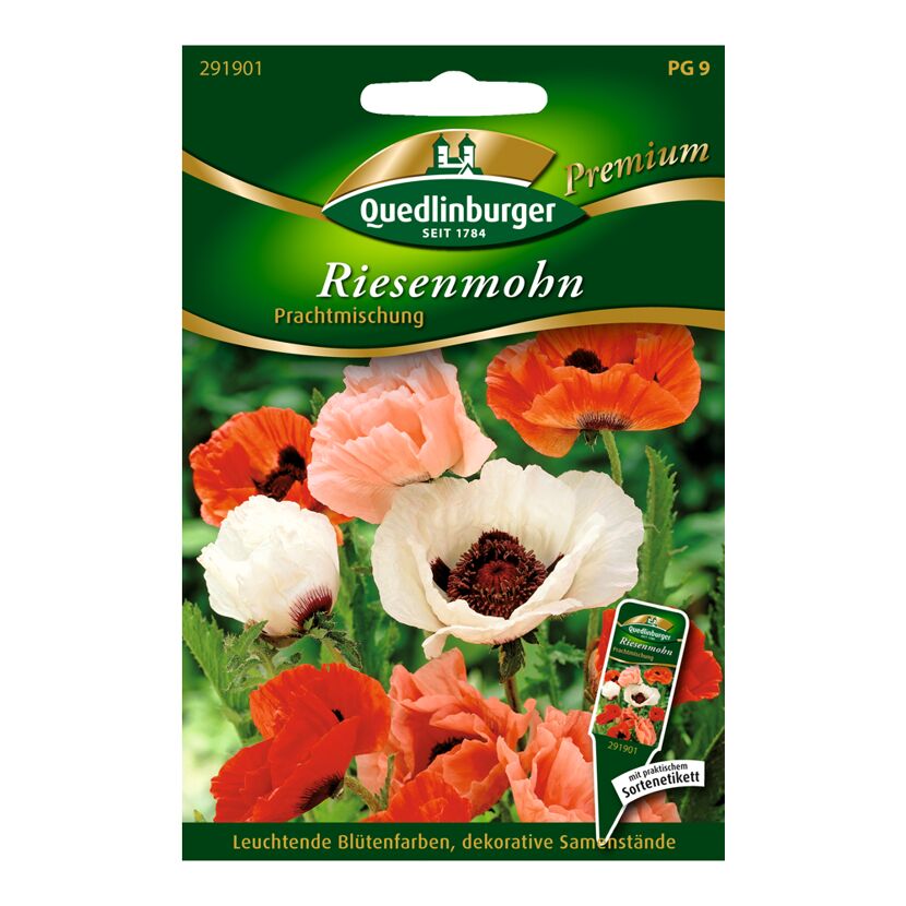 Riesenmohn Türkischer Mohn "Prachtmischung"