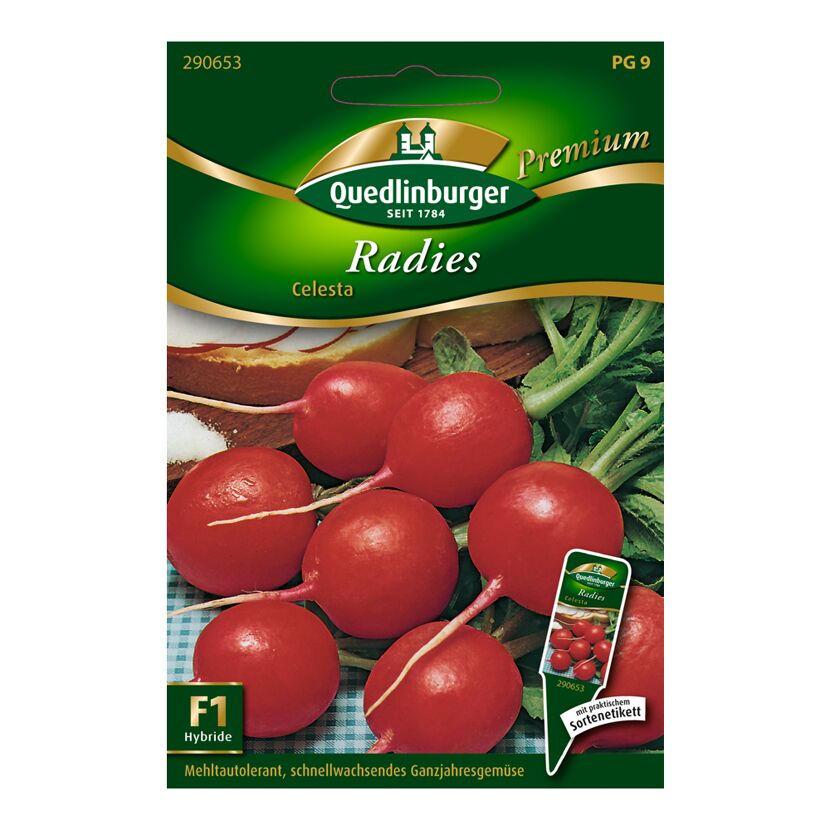 Radies "Celesta"