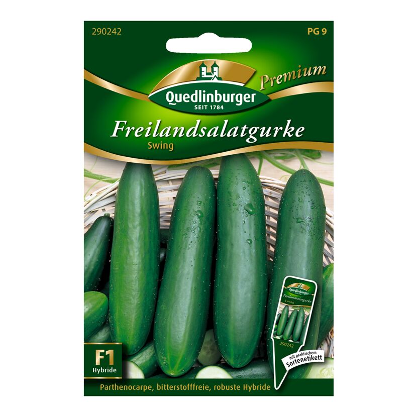 Freilandsalatgurke "Swing"