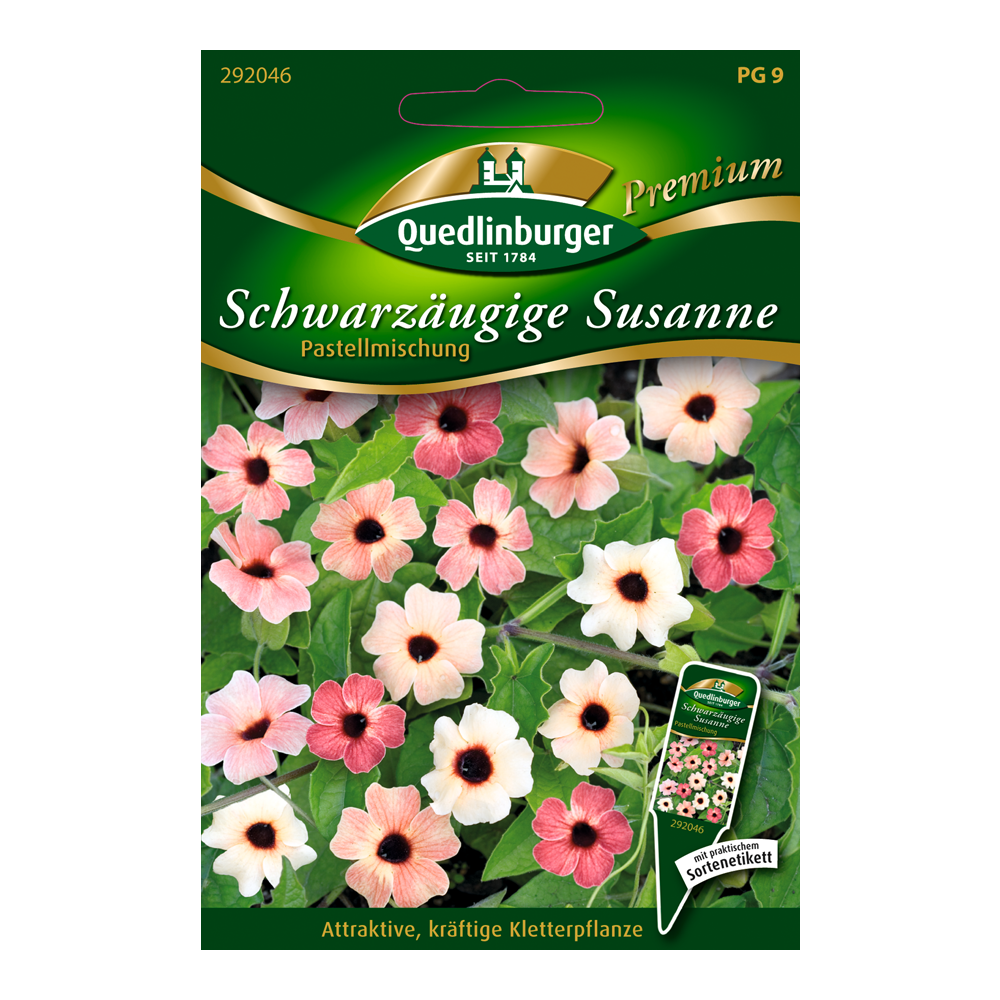 Schwarzäugige Susanne "Pastellmischung" 5 Stück + product picture