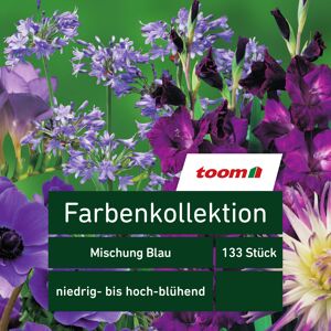 Blumenzwiebeln Farbenkollektion 'Mischung Blau' 133 Stück
