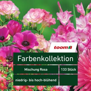 Blumenzwiebeln Farbenkollektion 'Mischung Rosa' 133 Stück