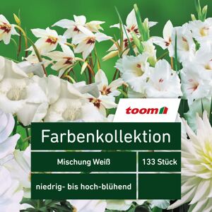 Blumenzwiebeln Farbenkollektion 'Mischung Weiß' 133 Stück