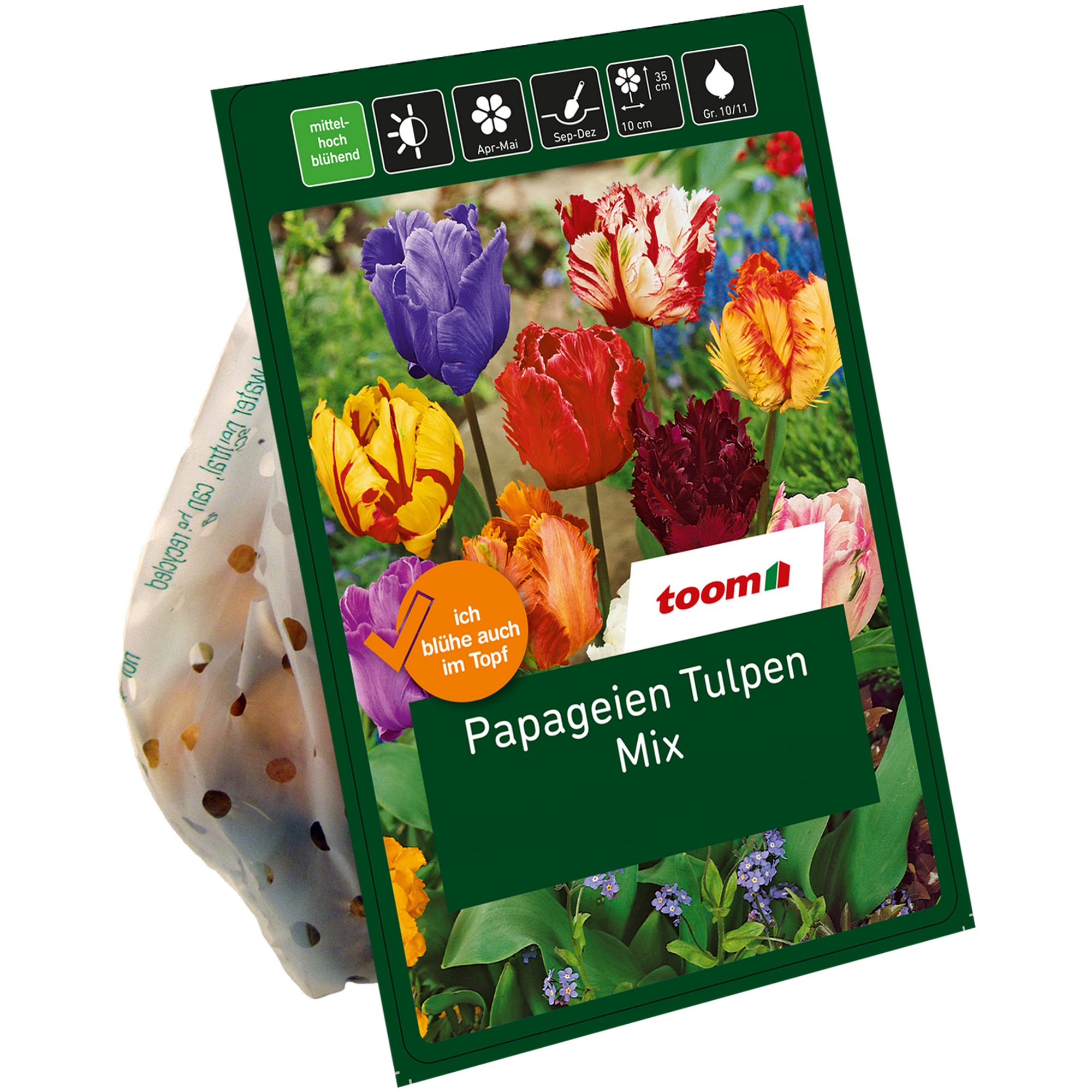 Papageien-Tulpen 'Mix' 20 Zwiebeln