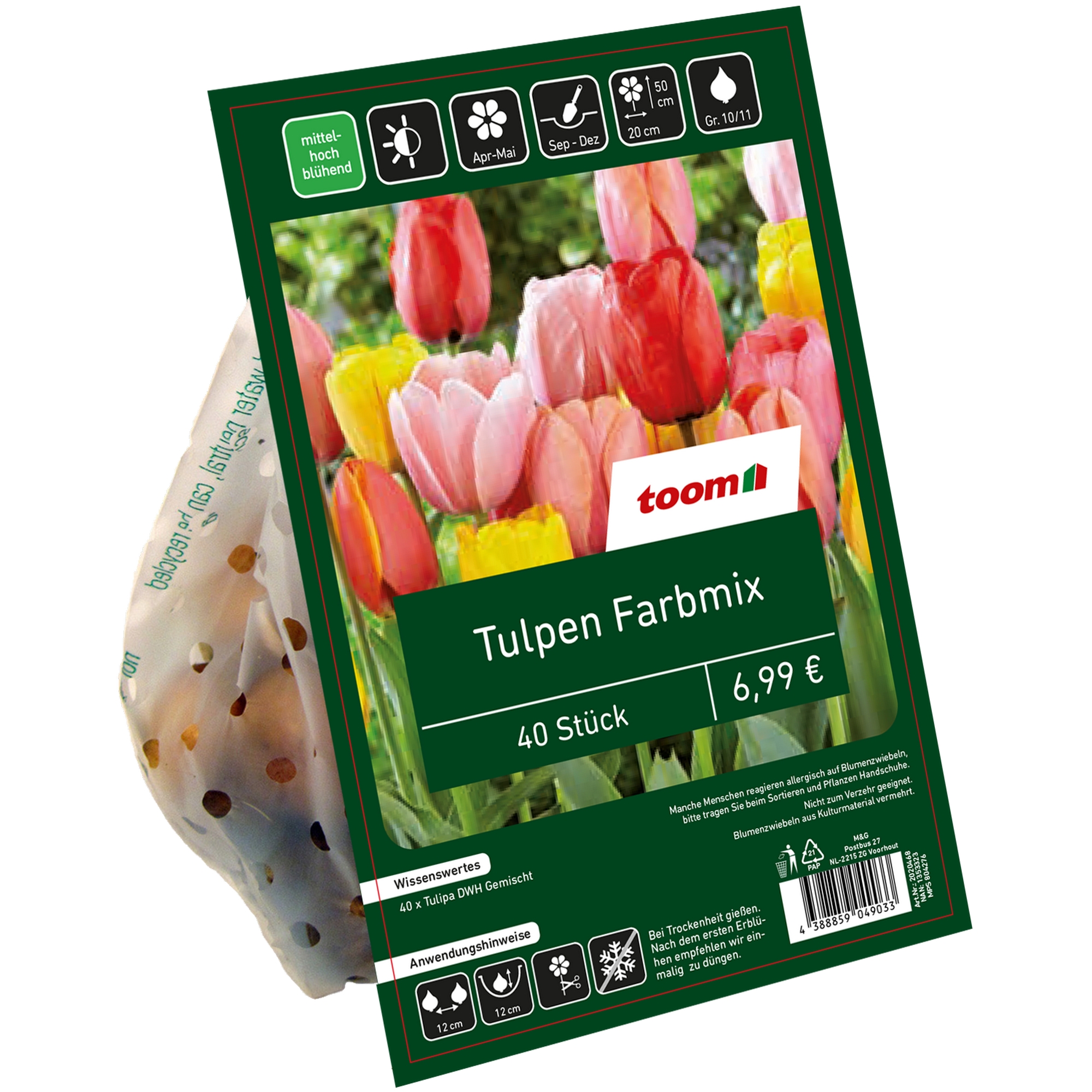 Tulpenzwiebeln Abba Rot mehrjährig & robust- Frühe Tulpe gefüllt Blumenzwiebeln Pflanzen in Top Qualität 7 Tulpen-Zwiebeln von Garten Schlüter 