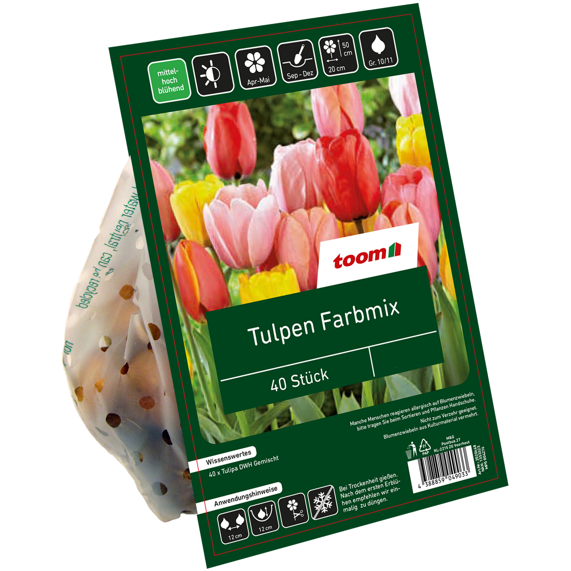 Tulpen-Mix ungefüllt 40 Zwiebeln