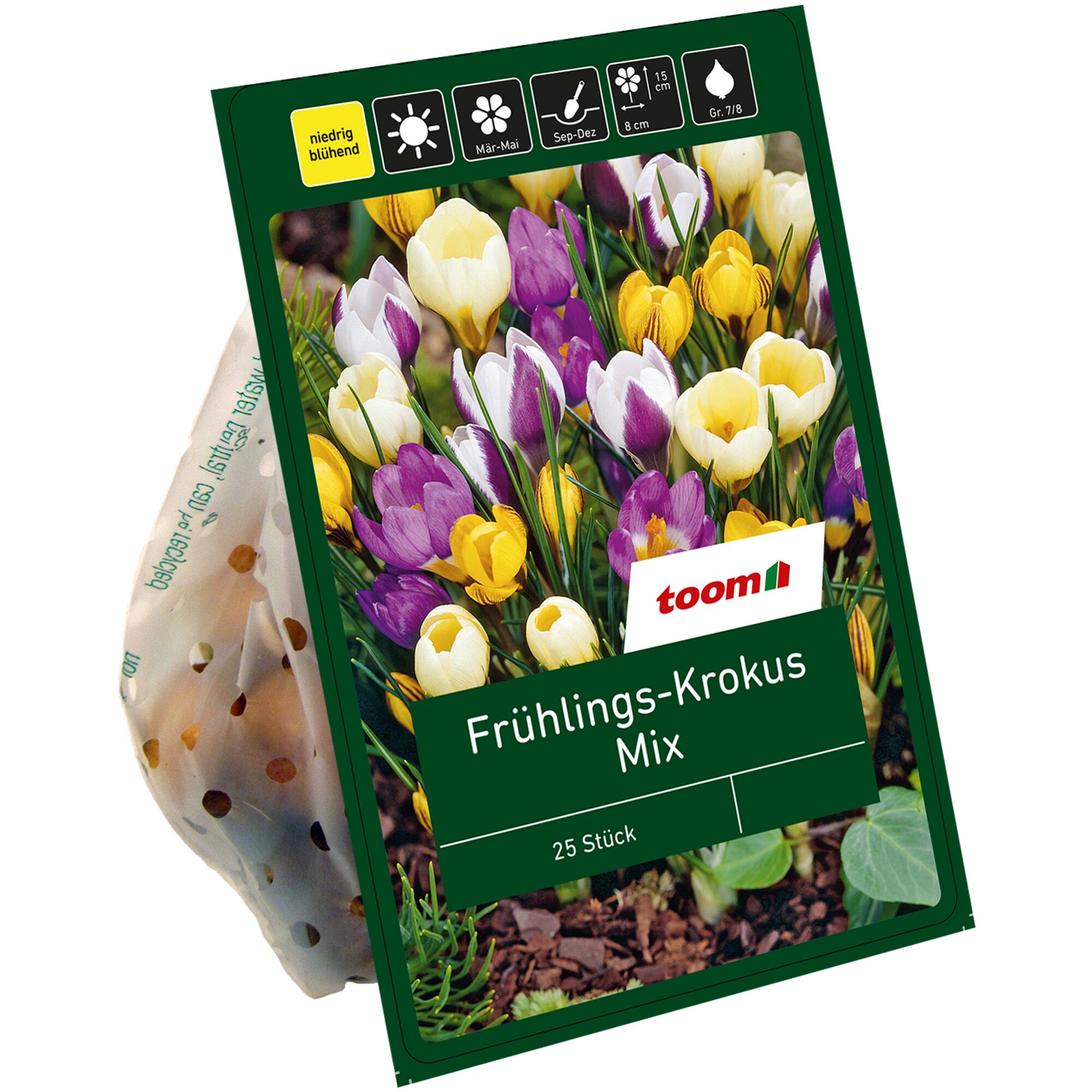 Frühlings-Krokus Mix, 25 Stück