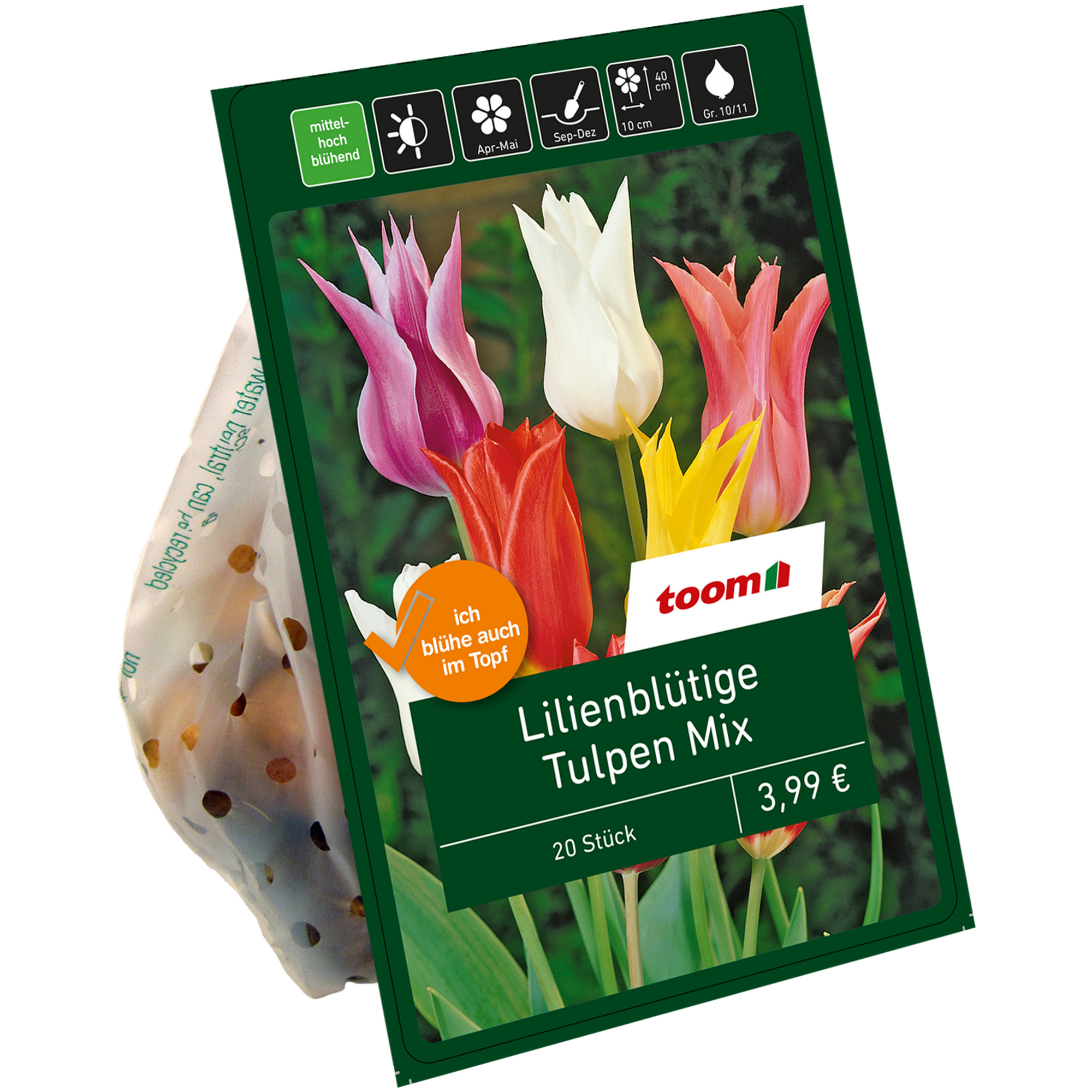 Lilienblütige Tulpen 'Mix' 20 Zwiebeln + product picture