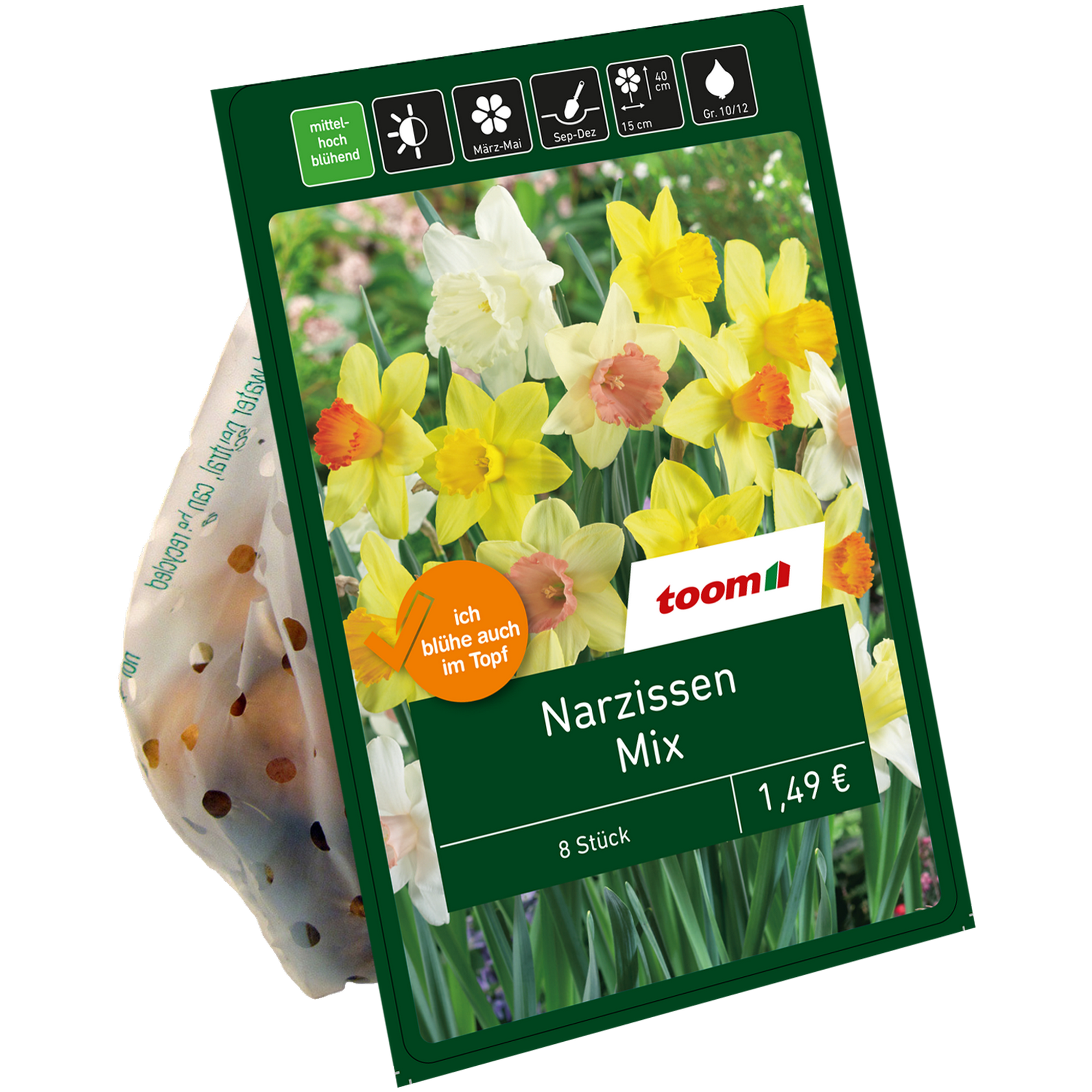 Narzissen-Mix 8 Zwiebeln + product picture