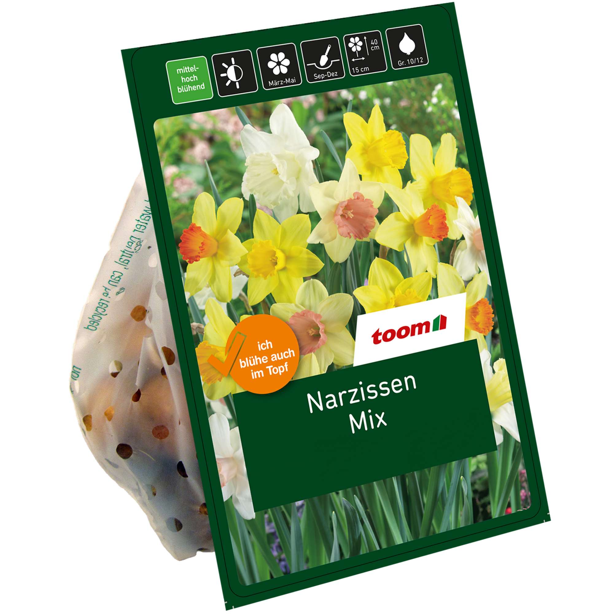 Narzissen-Mix 8 Zwiebeln
