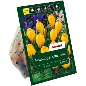 Frühlings-Krokusse gelb 25 Zwiebeln
