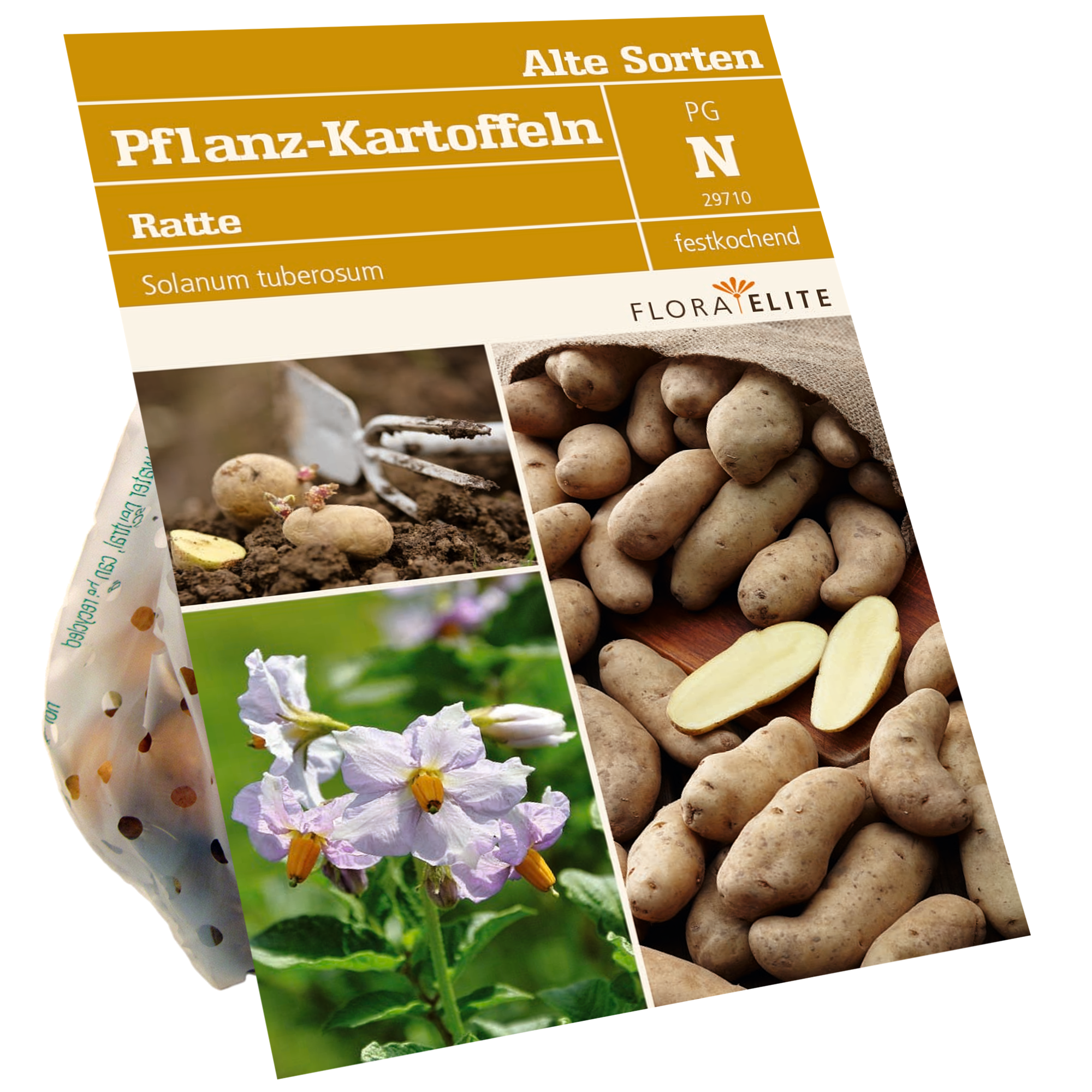 Pflanzkartoffeln 'Ratte' 500 g + product picture