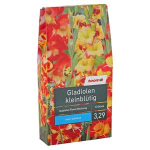 Blumenzwiebeln "Gladiolen kleinblütig" Gladiolus Flevo Mischung 10 Stück
