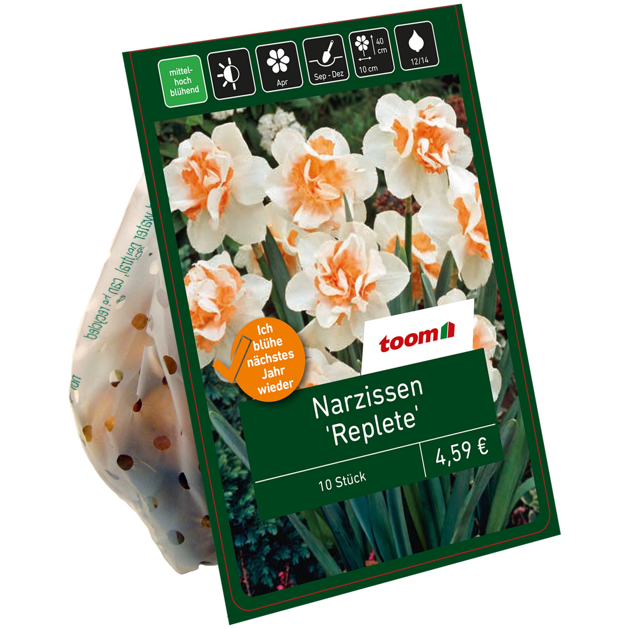 Toom Narzissen Replete, 10 Stück