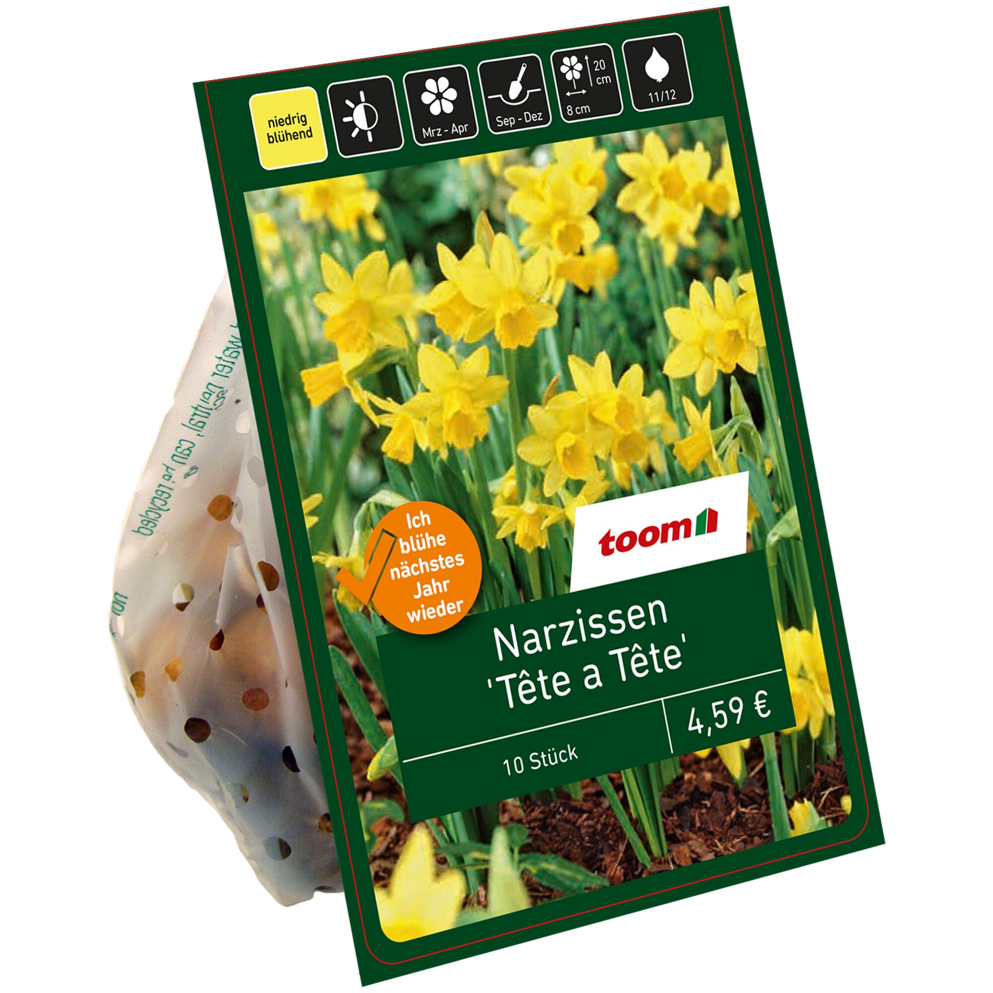 Verpackung mit 10 gelben Narzissenzwiebeln