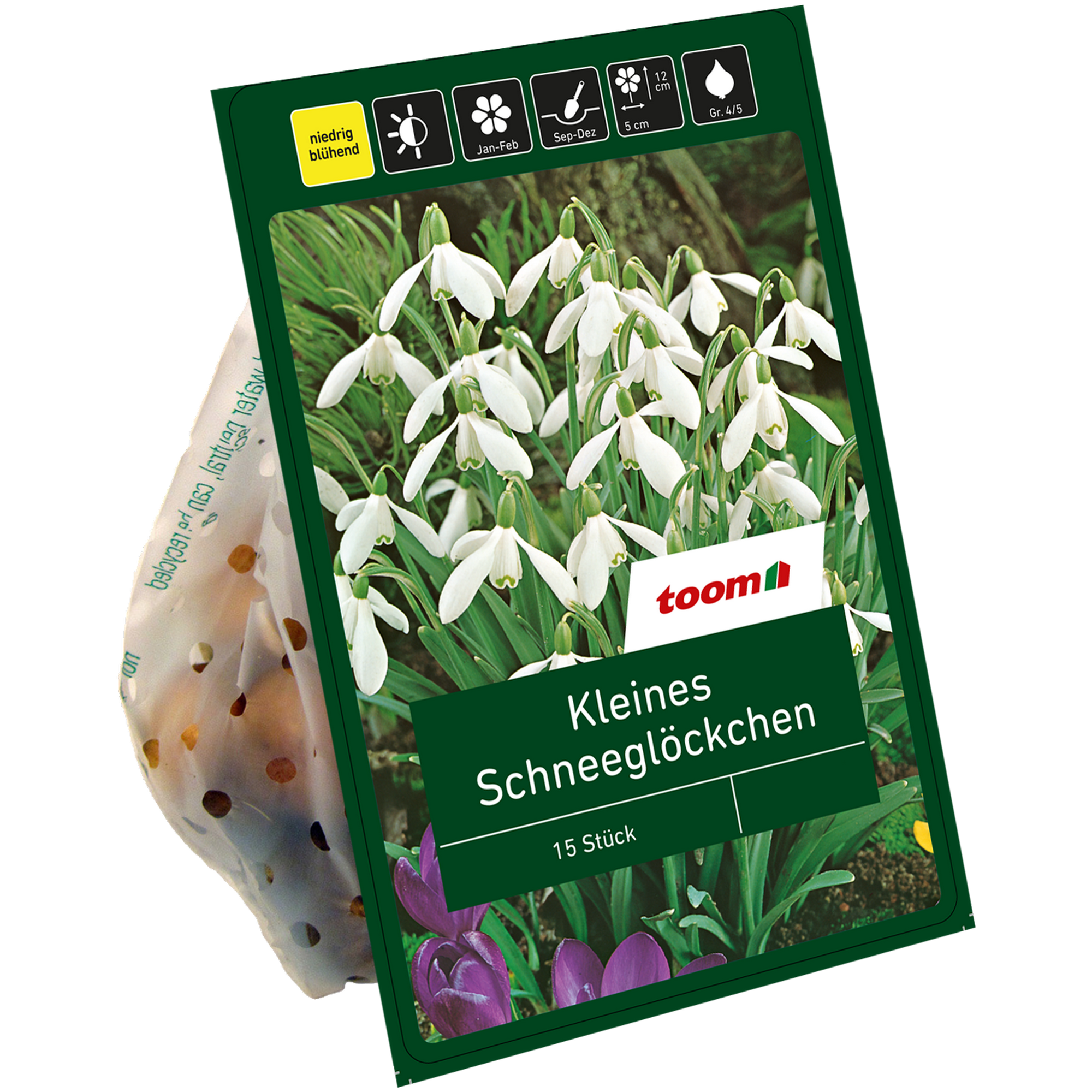 Kleine Schneeglöckchen 'Nivalis' weiß 15 Zwiebeln + product picture