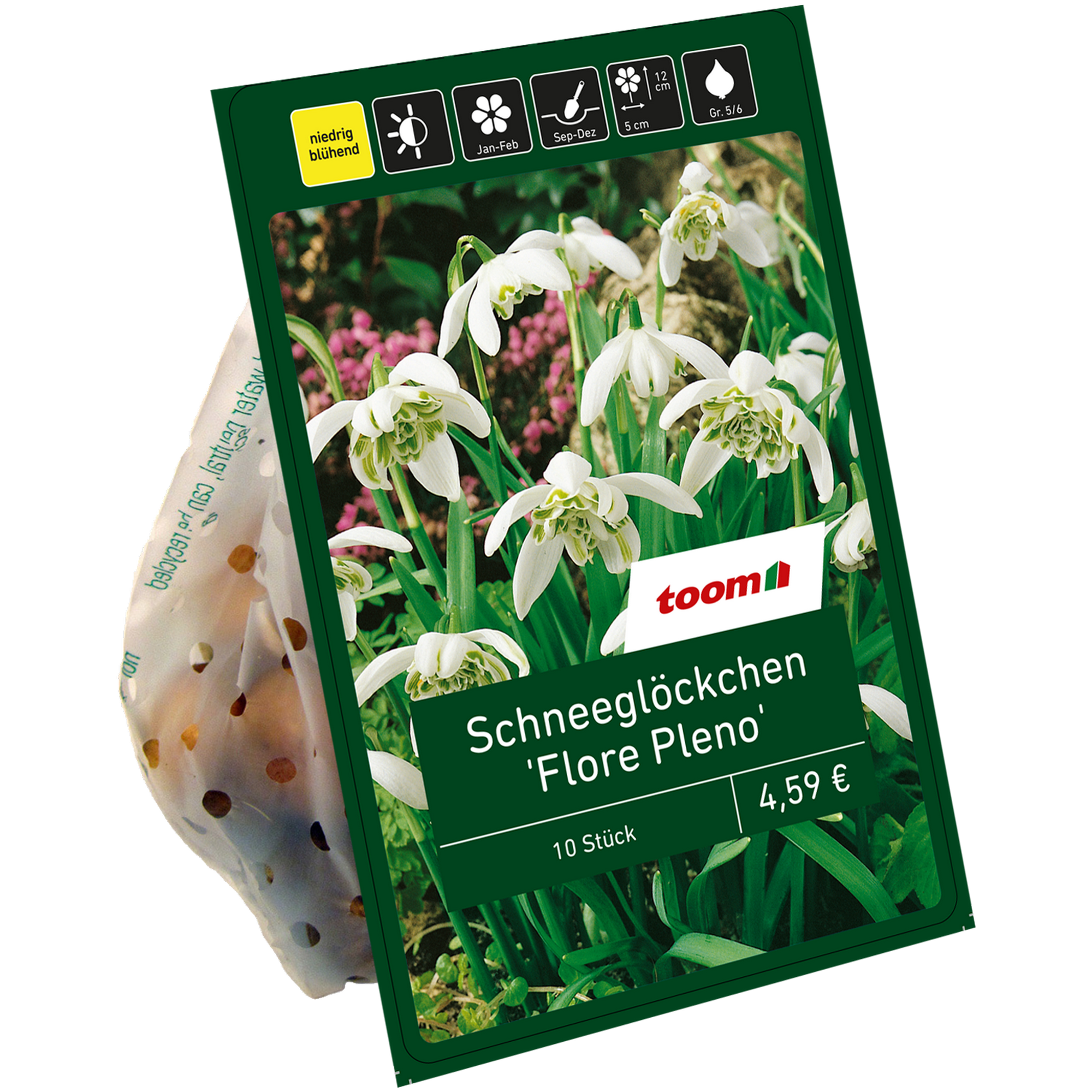 Schneeglöckchen 'Flore Pleno' weiß 10 Zwiebeln + product picture