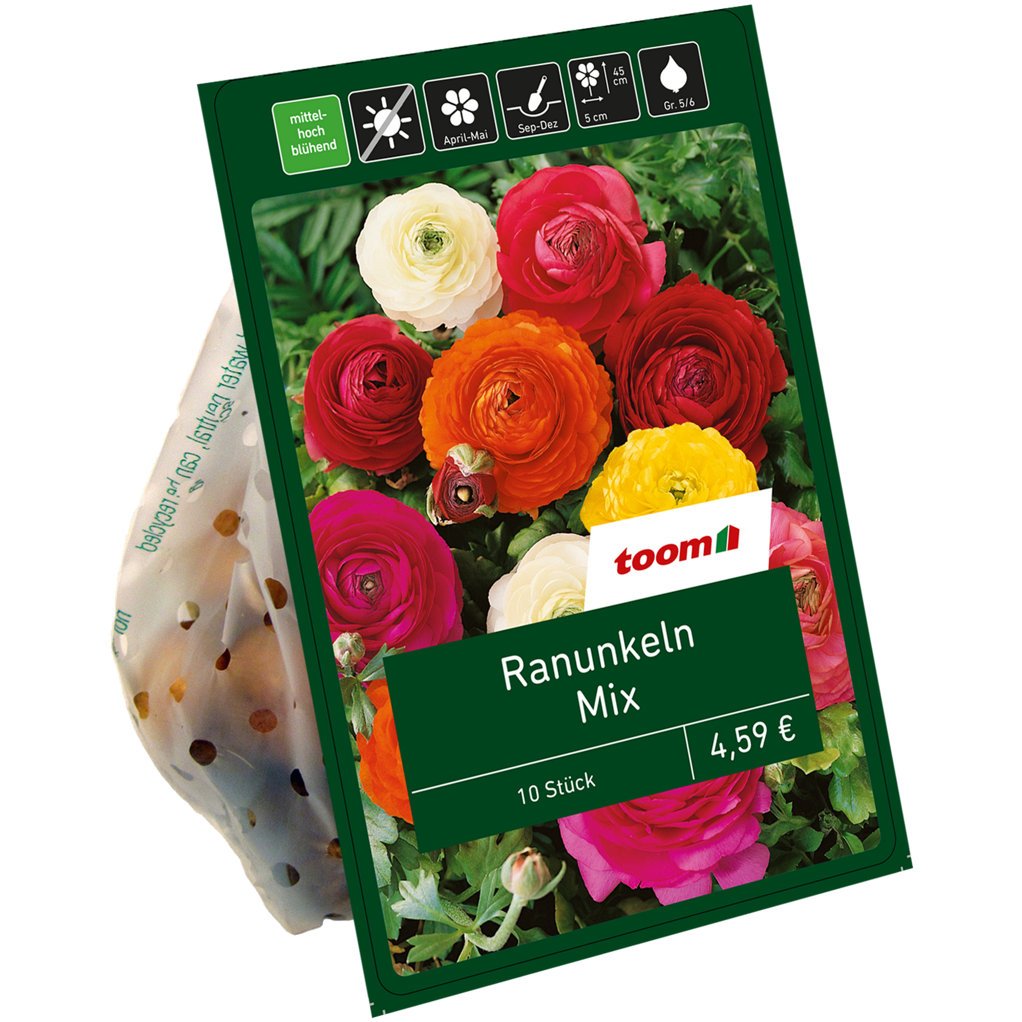 Ranunkeln 'Mix' 10 Zwiebeln + product picture
