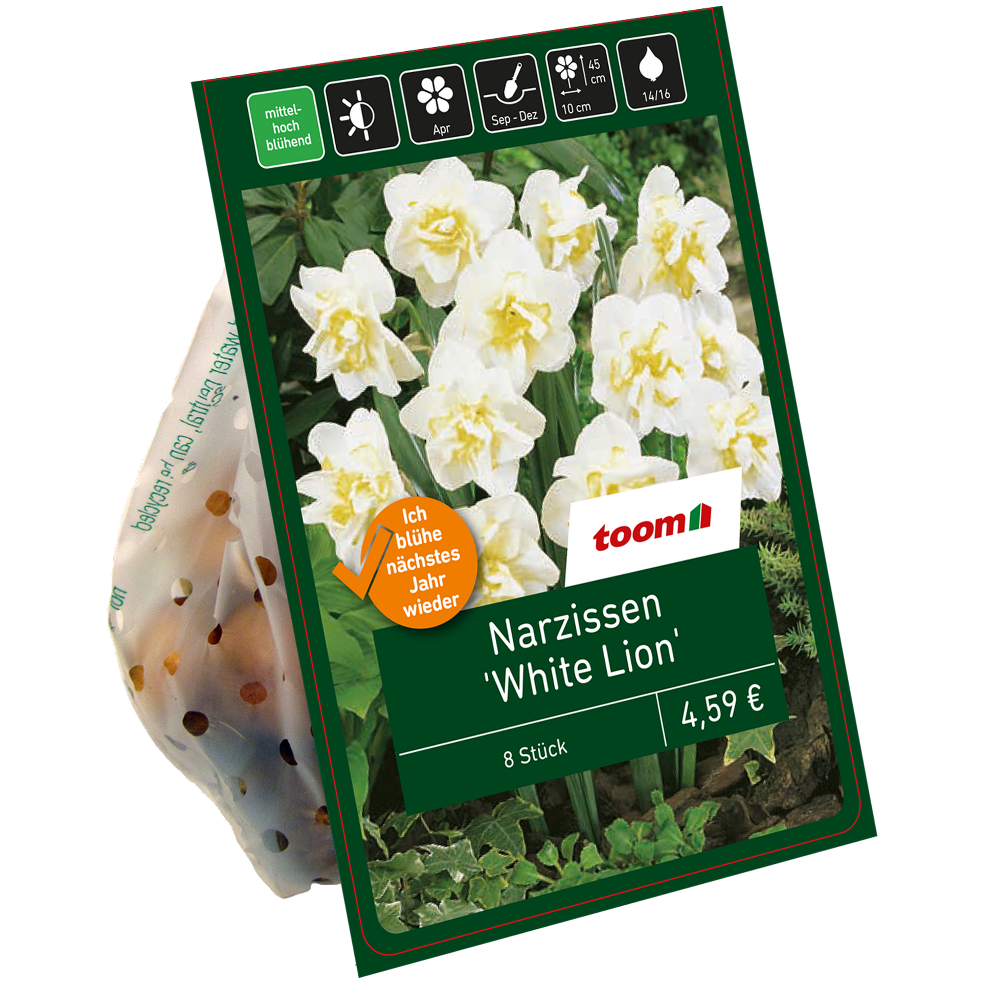 Gefüllte Narzissen 'White Lion' weiß-gelb 8 Zwiebeln + product picture