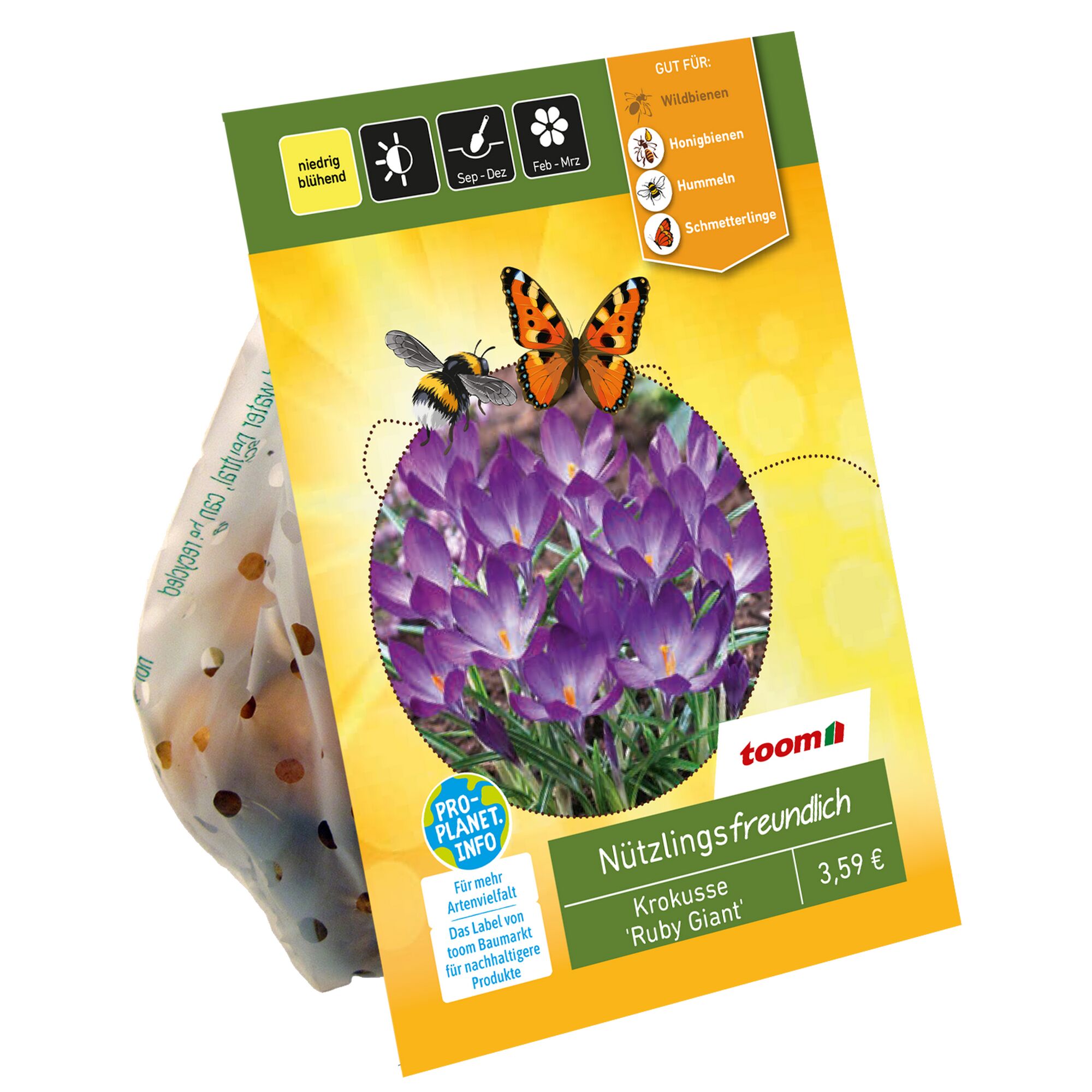 Verpackung für Krokusse 'Ruby Giant'