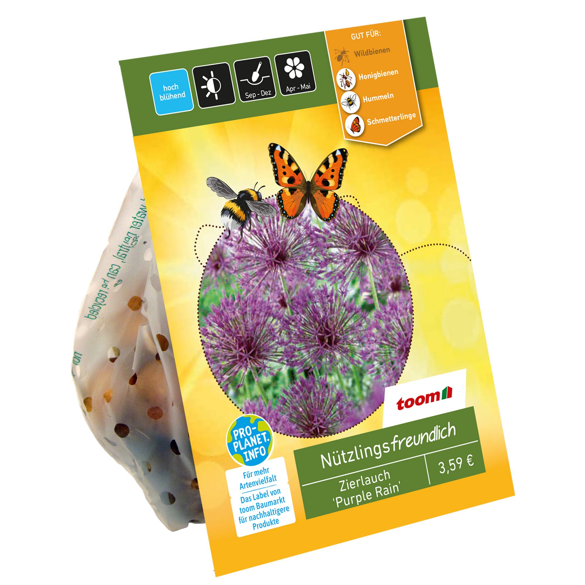 Zierlauch Purple Rain mit Biene und Schmetterling