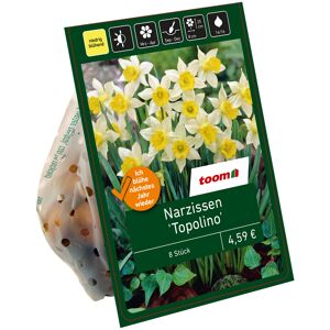Botanische Narzissen 'Topolino' gelb-weiß 10 Zwiebeln