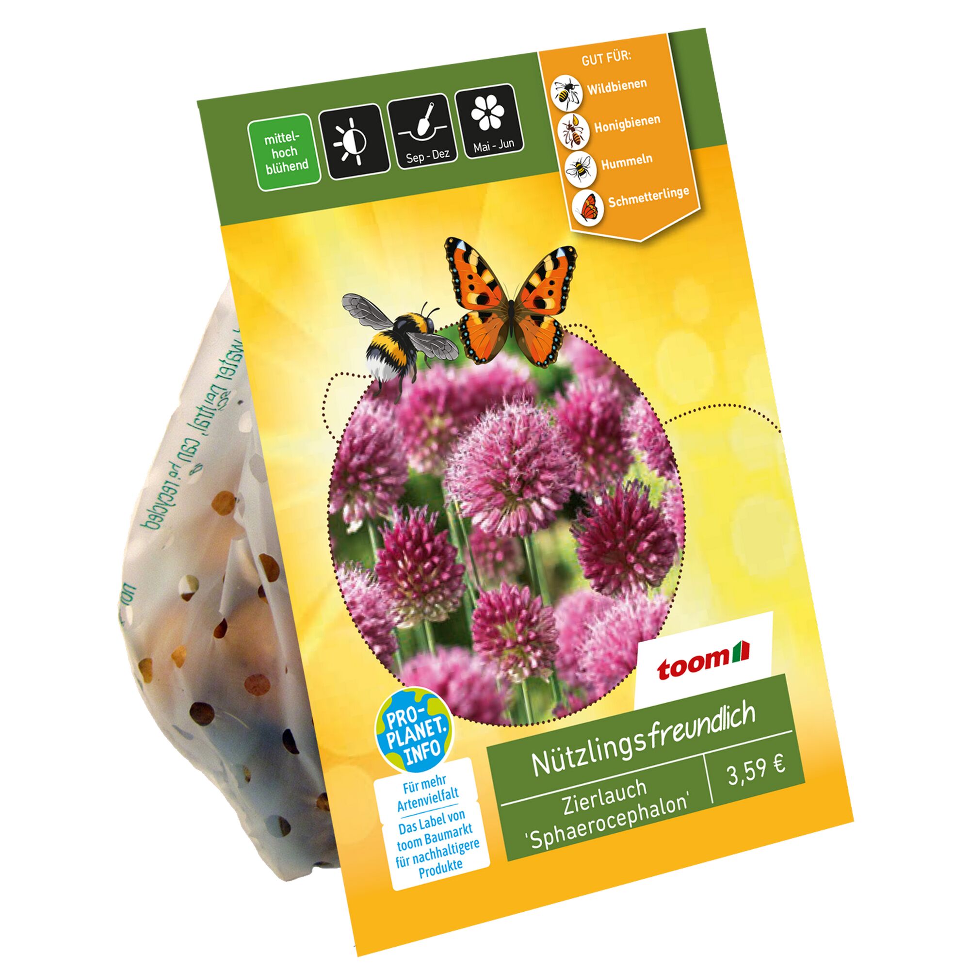 Zierlauch 'Sphaerocephalon', toom