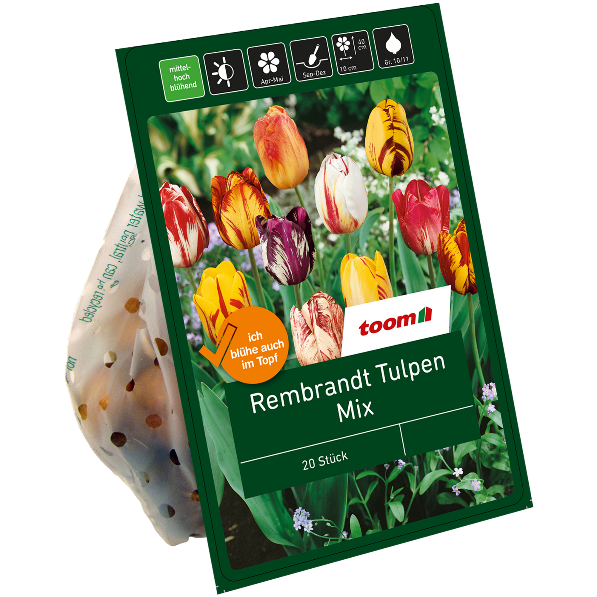 Rembrandt-Tulpen-Mix 20 Zwiebeln + product picture